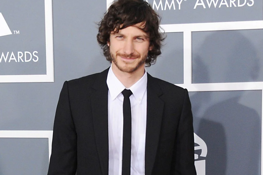 gotye net worth